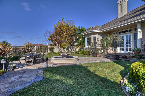 back-yard